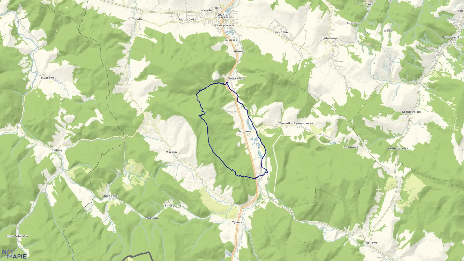 Mapa obrębu Trzciana w gminie Dukla